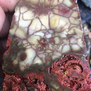 spiderweb jasper 2pc